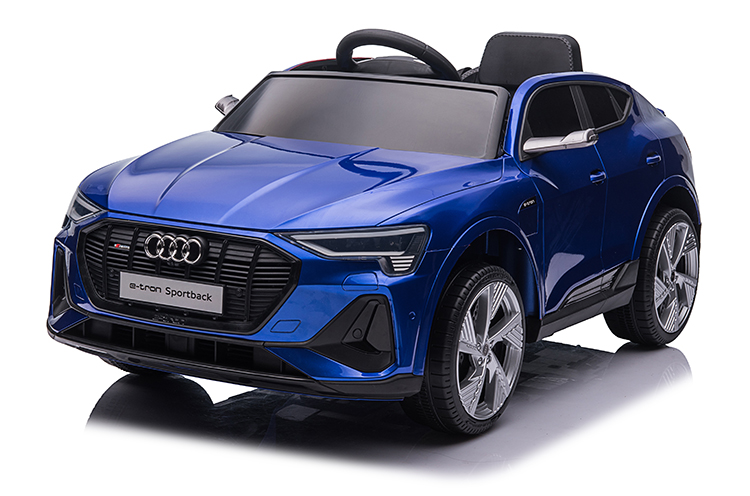 Audi E-tron Outback